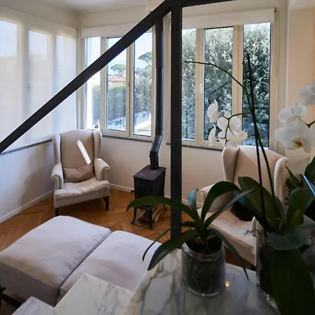 Chiara Class Marina di Pietrasanta