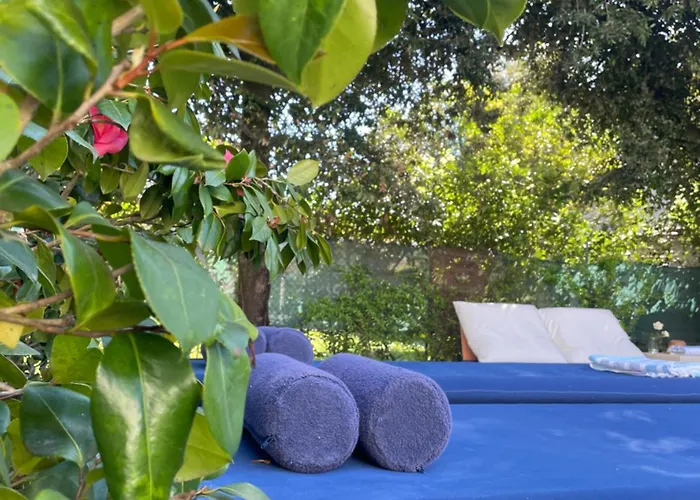 Apartman Chiara Class Marina di Pietrasanta