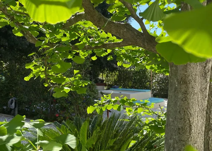 Chiara Class 마리아나디피에트라산타